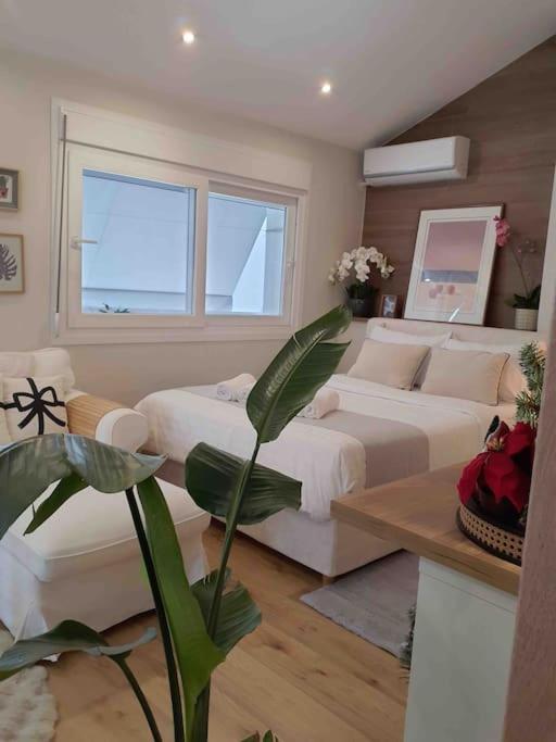 Cozy Studio Στο Κεντρο لاريسا المظهر الخارجي الصورة