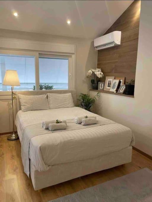 Cozy Studio Στο Κεντρο لاريسا المظهر الخارجي الصورة